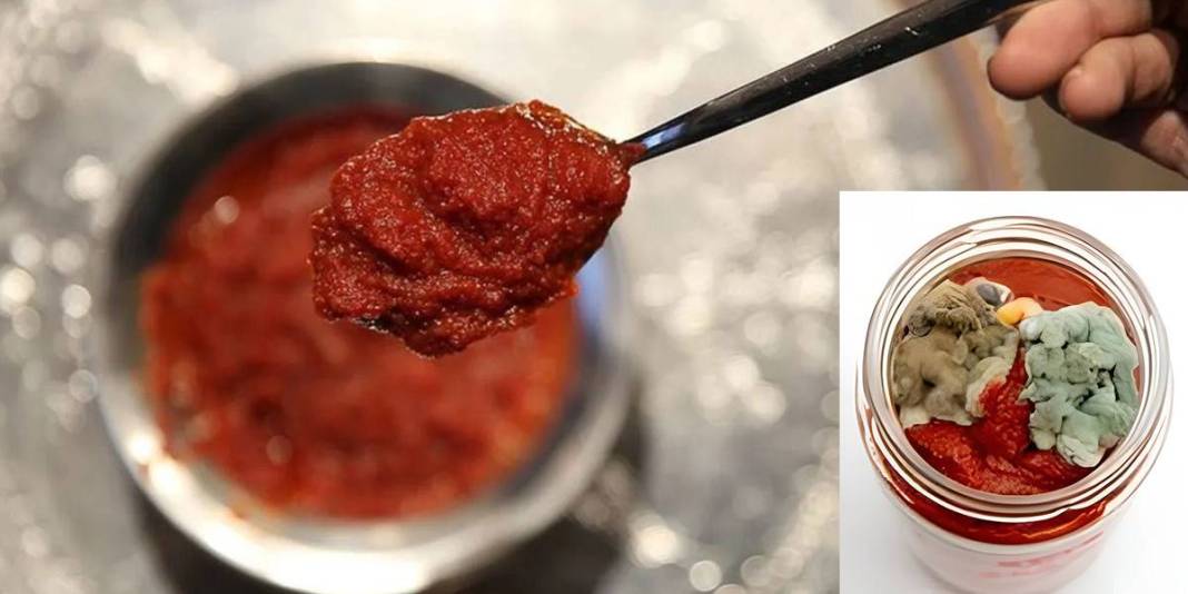 Bunu uygulayın, kavanozu açtığınızda küf görmeyin! Anneler yıllardır uyguluyor: Salçada küften eser kalmıyor 1